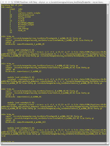 miRSeq_Dry_Run1