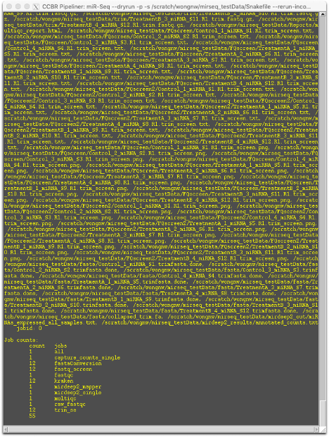 miRSeq_Dry_Run2
