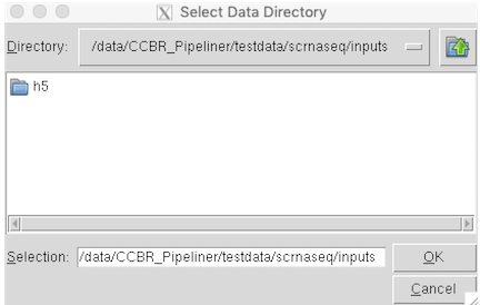 scrnaSeq_rawdata_h5