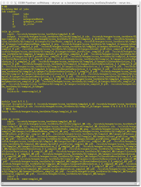 scRNASeq_Dry_Run1